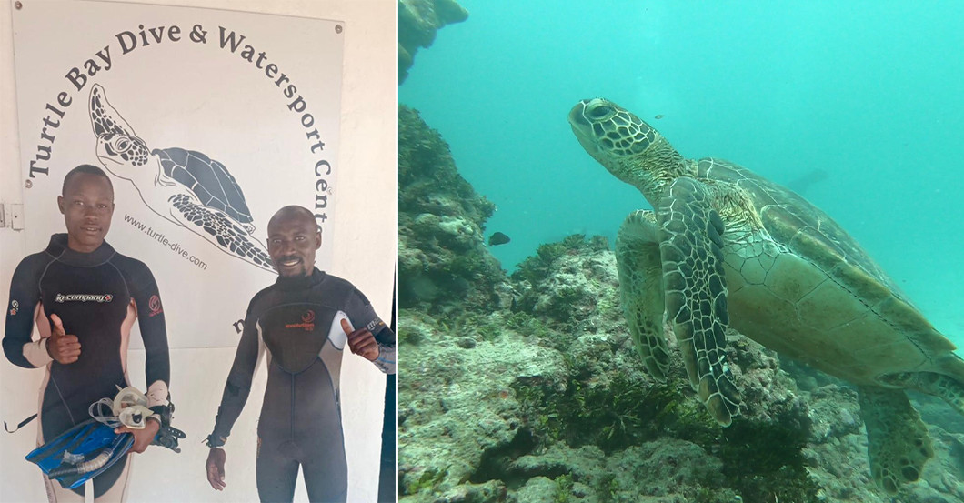  AGA Tauchen Turtle Bay 