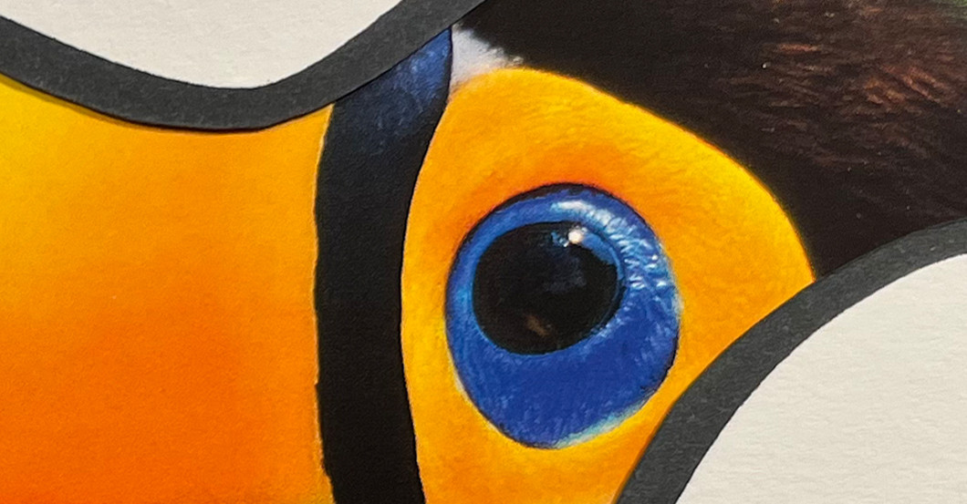 Akira Kunstwerk Tukan   Akira Kunstwerk Tukan