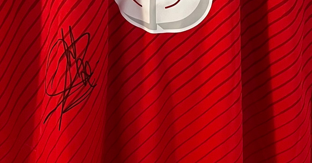 Alaba Nationaltrikot    Alaba Nationaltrikot