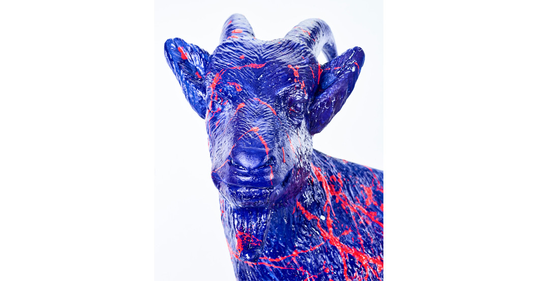 Alpha Bock und FC Gala   Alpha Bock und FC Gala