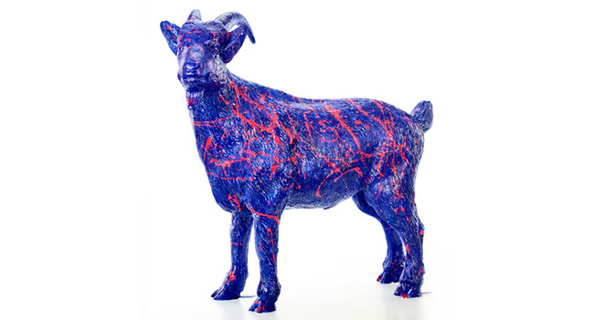  Alpha Bock und FC Gala 