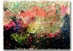 Anne Weber Kunst 
