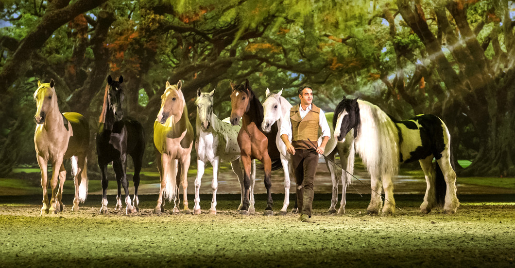 Apassionata vier Plätze   Apassionata vier Plätze