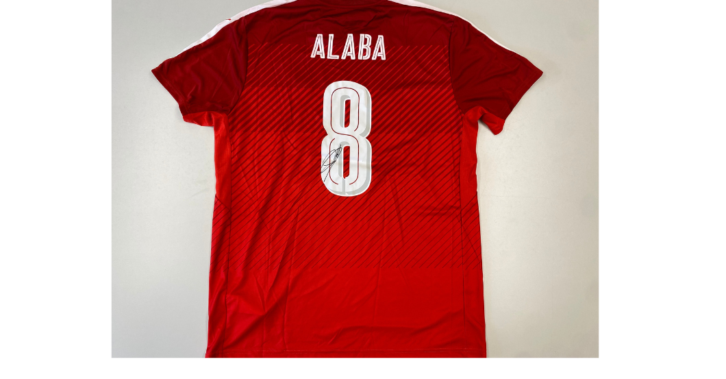 AT Alabas Trikot XL   AT Alabas Trikot XL