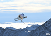  AT Big Air Freeski WM 