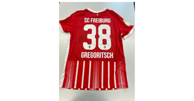  AT Gregoritsch Trikot 