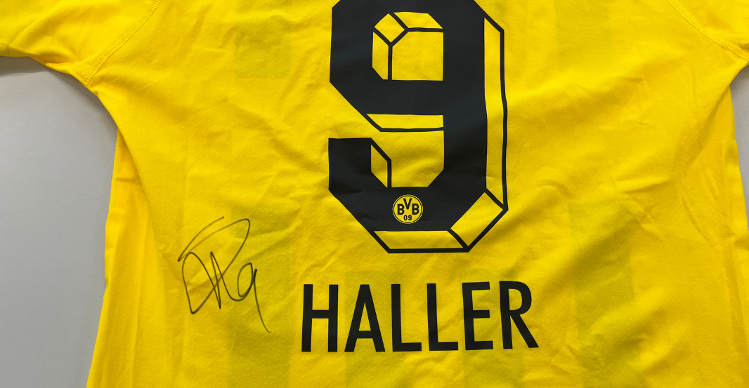 AT Haller Trikot   AT Haller Trikot