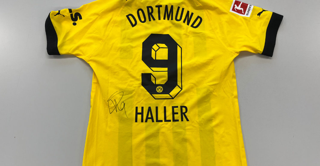 AT Haller Trikot   AT Haller Trikot