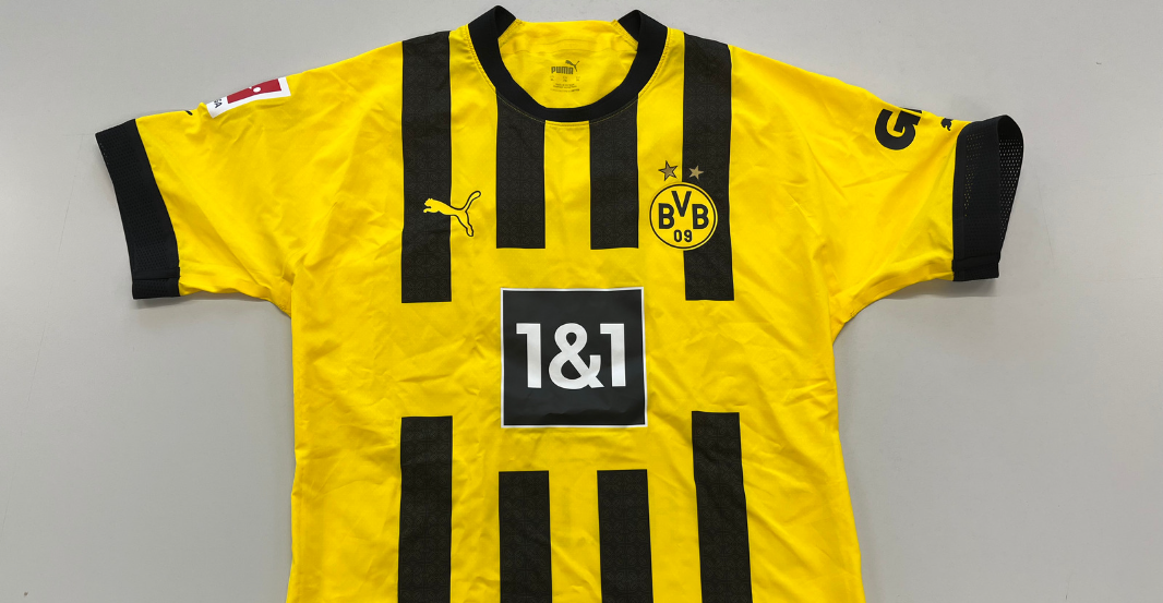 AT Haller Trikot   AT Haller Trikot