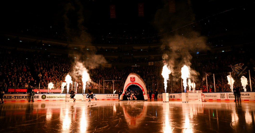  AT Kölner Haie 