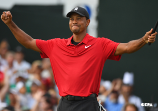  AT Tiger Woods Kunstwerk 