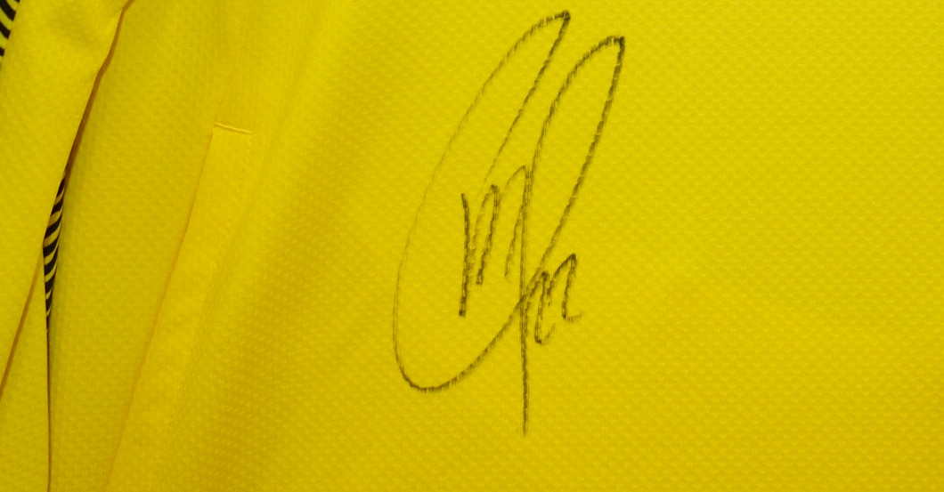  Aufwärmshirt  Pulisic 