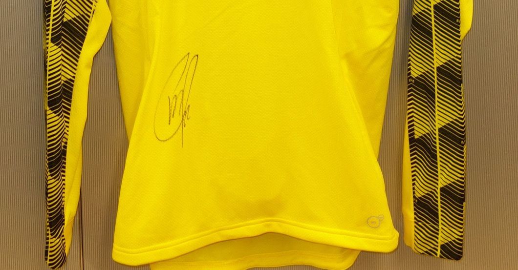  Aufwärmshirt  Pulisic 