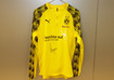  WarmUp Shirt Weidenfeller 
