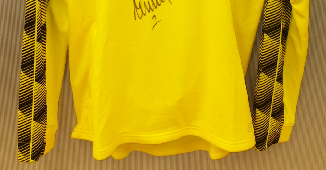  Aufwärmshirt Weidenfeller 