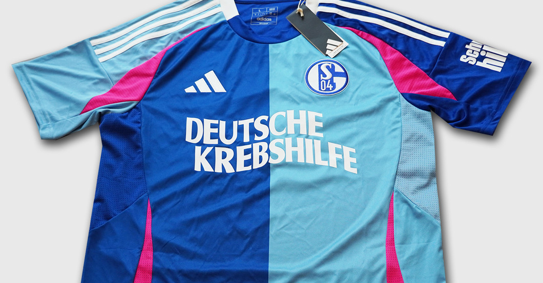 BAL Krebshilfe Thon   BAL Krebshilfe Thon