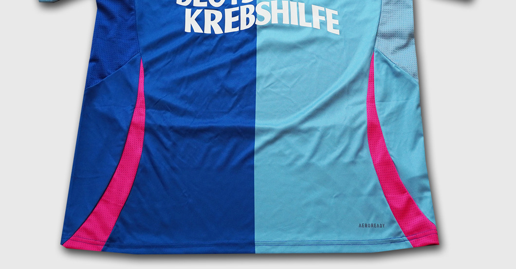 BAL Krebshilfe Thon   BAL Krebshilfe Thon