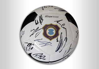  Ball von Erzgebirge Aue 