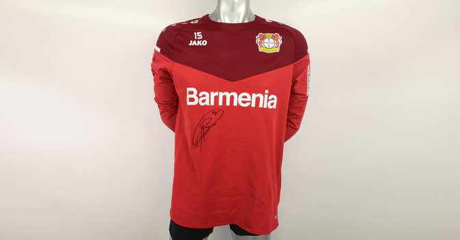 Baumgartlinger Pulli   Baumgartlinger Pulli