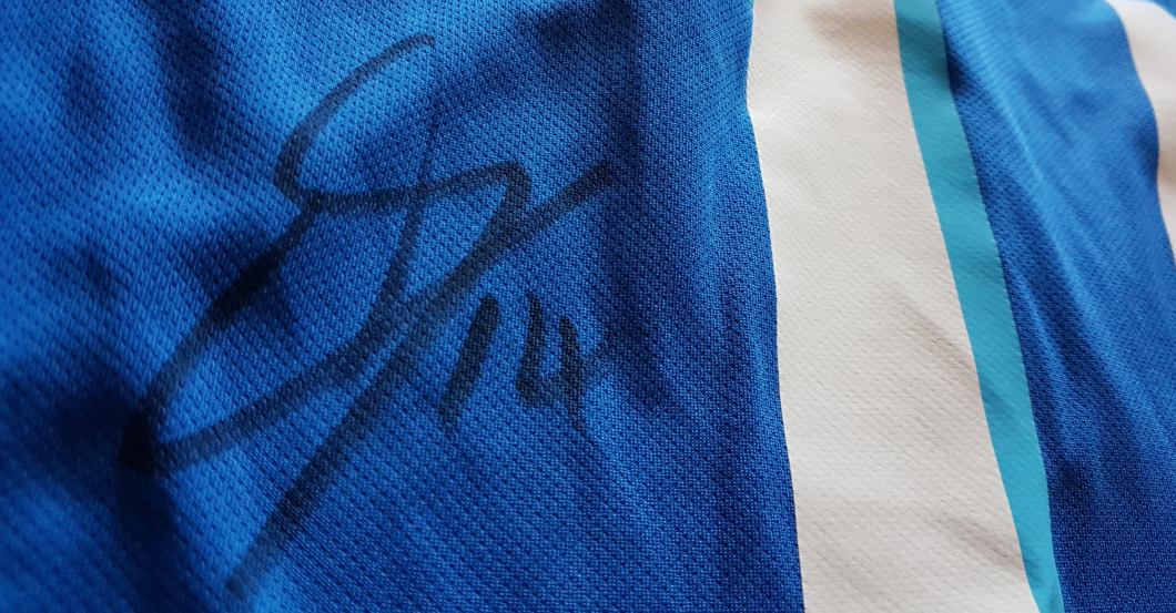 Baumgartner TSG-Trikot    Baumgartner TSG-Trikot