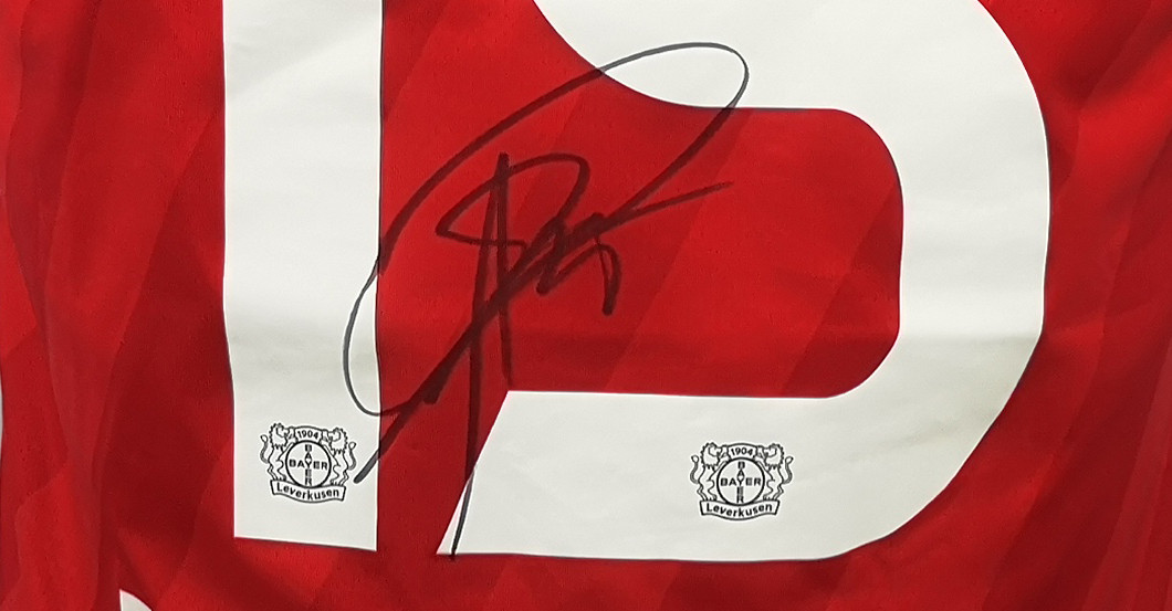 Bayer Baumgartlinger   Bayer Baumgartlinger