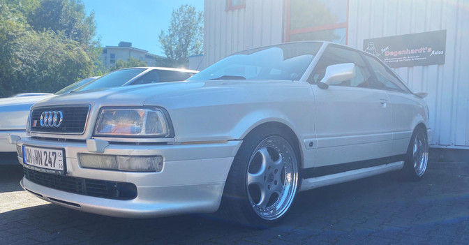 Beifahrer Nadine Walter   Beifahrer Nadine Walter