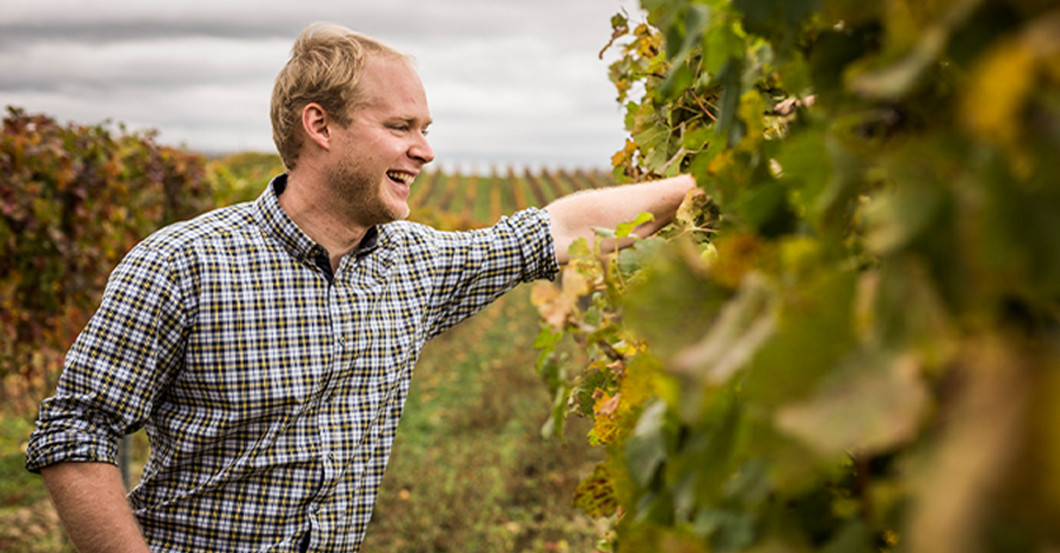 Bernd Nittnaus Weine 2   Bernd Nittnaus Weine 2