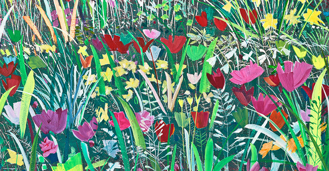 Bild Igelspaziergang   Bild Igelspaziergang