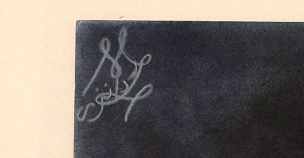 Bild Sara Mardanzai   Bild Sara Mardanzai