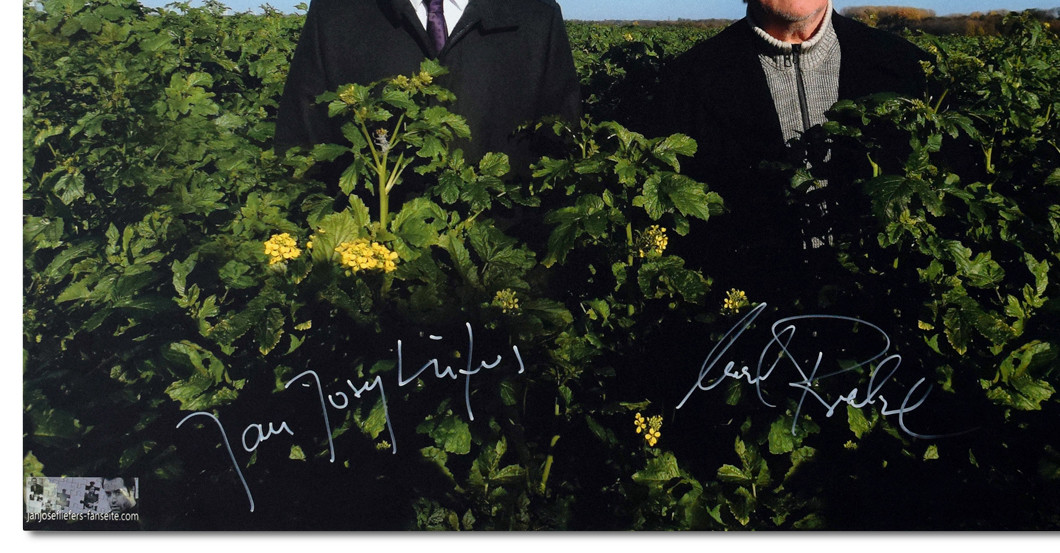  Bild Tatort Münster 