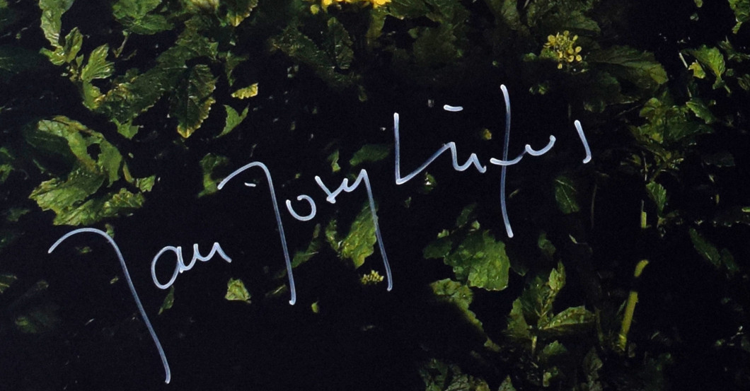  Bild Tatort Münster 