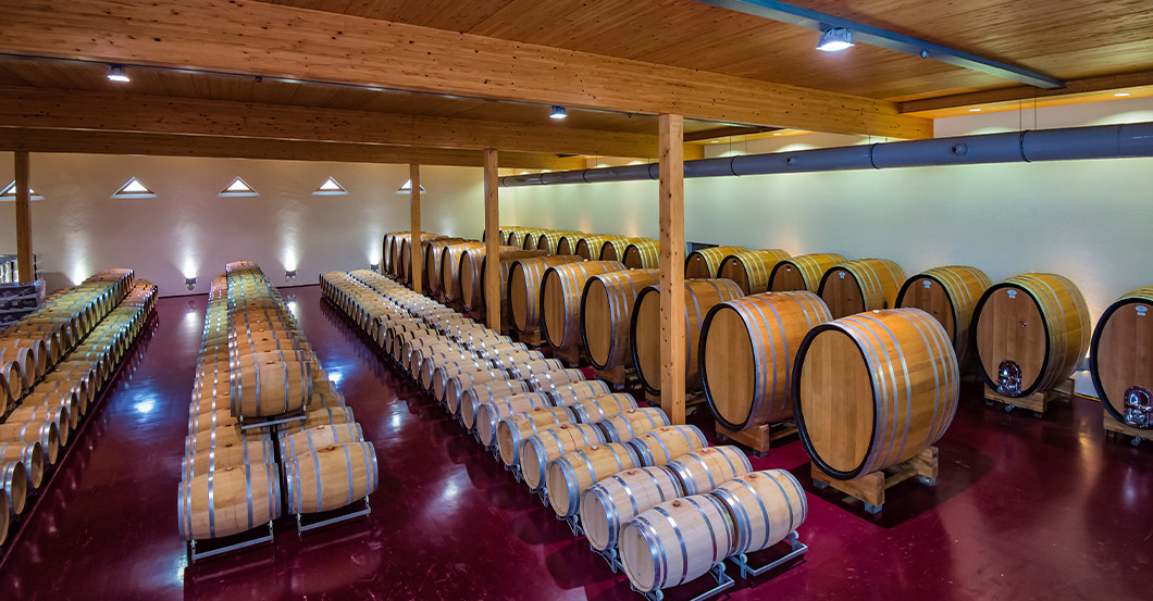  Blaufränkisch Weinradtour 