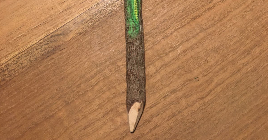 Bleistift Cameleon   Bleistift Cameleon