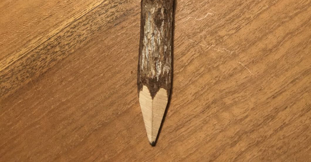 Bleistift Koala   Bleistift Koala