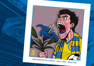  Braunschweig Bild 11 