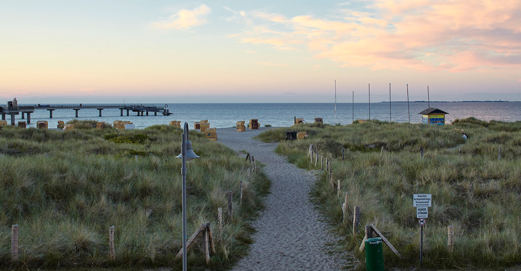  Bretterbude renovieren 