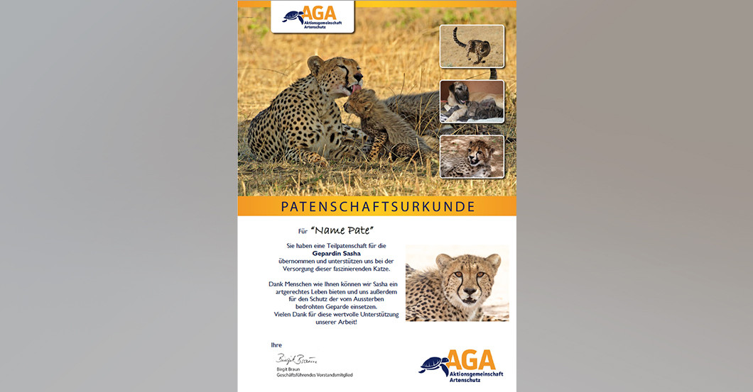  Buch Jaenicke Gepard 