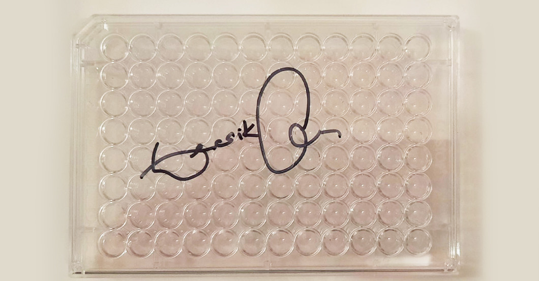  Buch Unser Immunsystem 