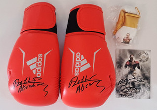  BÜ Abrahams Boxhandschuhe 