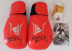  BÜ Abrahams Boxhandschuhe 