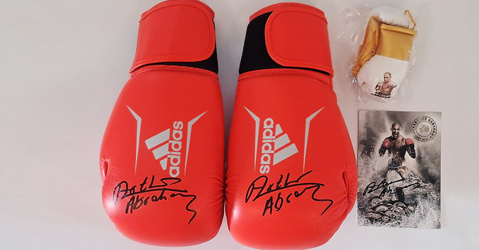 BÜ Abrahams Boxhandschuhe 