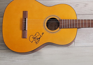  BÜ Beckmann Gitarre 