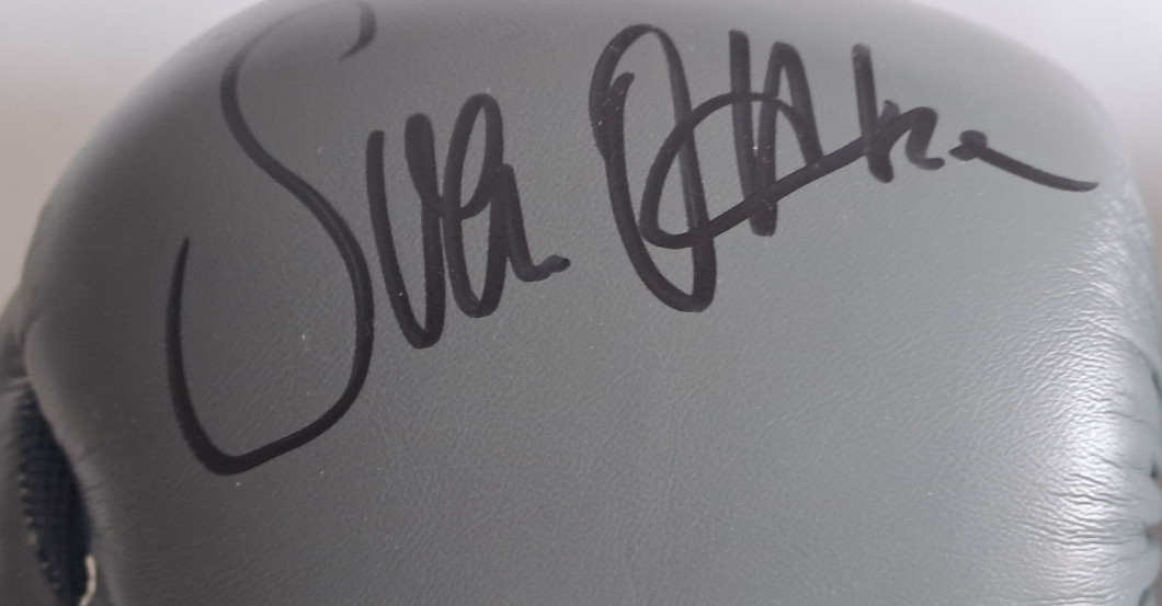 BÜ Boxhandschuhe grau   BÜ Boxhandschuhe grau