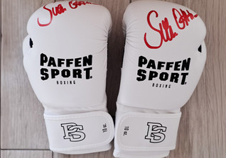  BÜ Boxhandschuhe weiß 