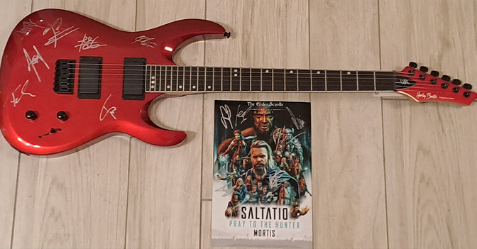  BÜ Gitarre Saltatio rot 