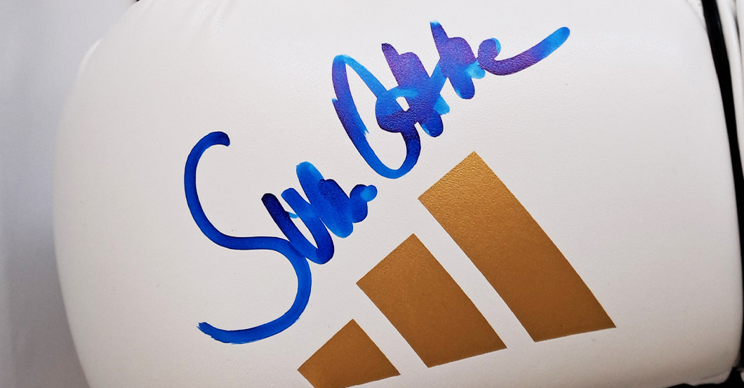 BÜ Handschuh Ottke weiss   BÜ Handschuh Ottke weiss