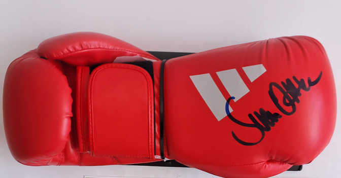 BÜ Handschuh rot Ottke   BÜ Handschuh rot Ottke