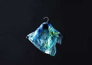  Bügel Elisabeth Veith 