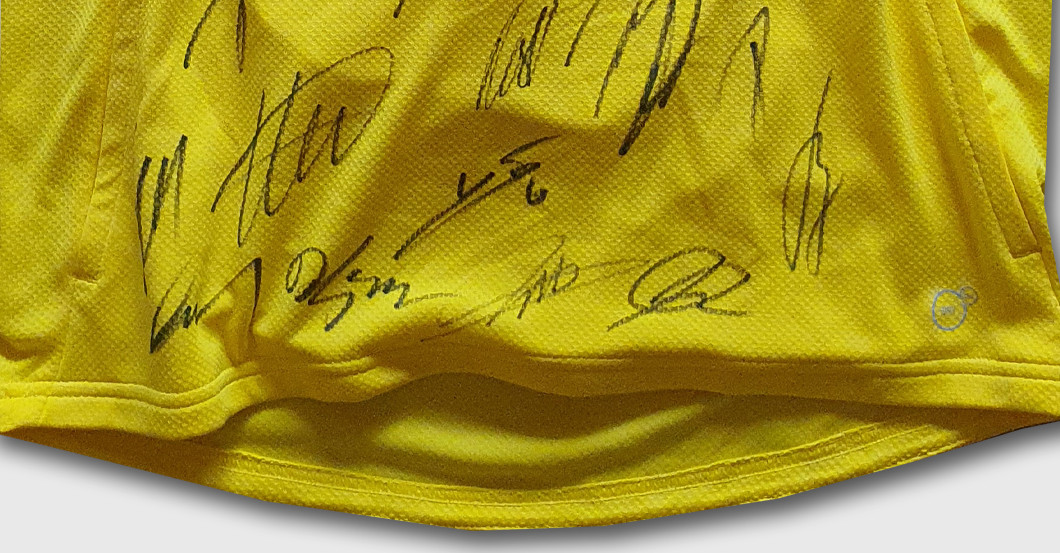 BVB Aufwärmshirt   BVB Aufwärmshirt