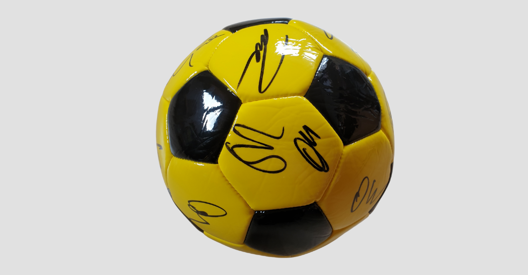  BVB Ball teamsigniert 